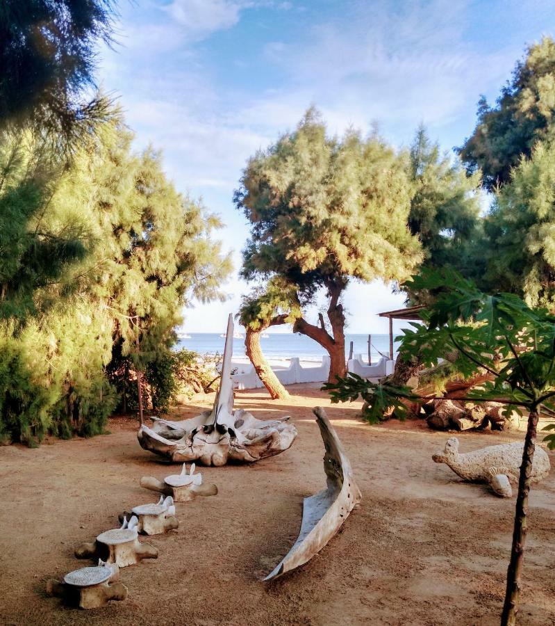 Punta Ballenas Mancora Lodge Εξωτερικό φωτογραφία